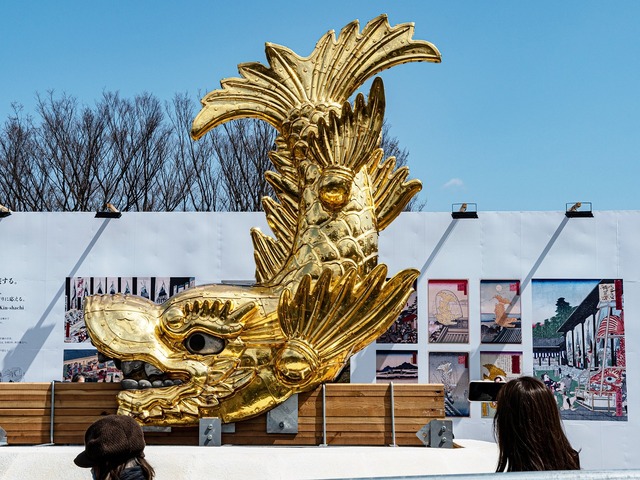 愛知県の風景：名古屋城金鯱